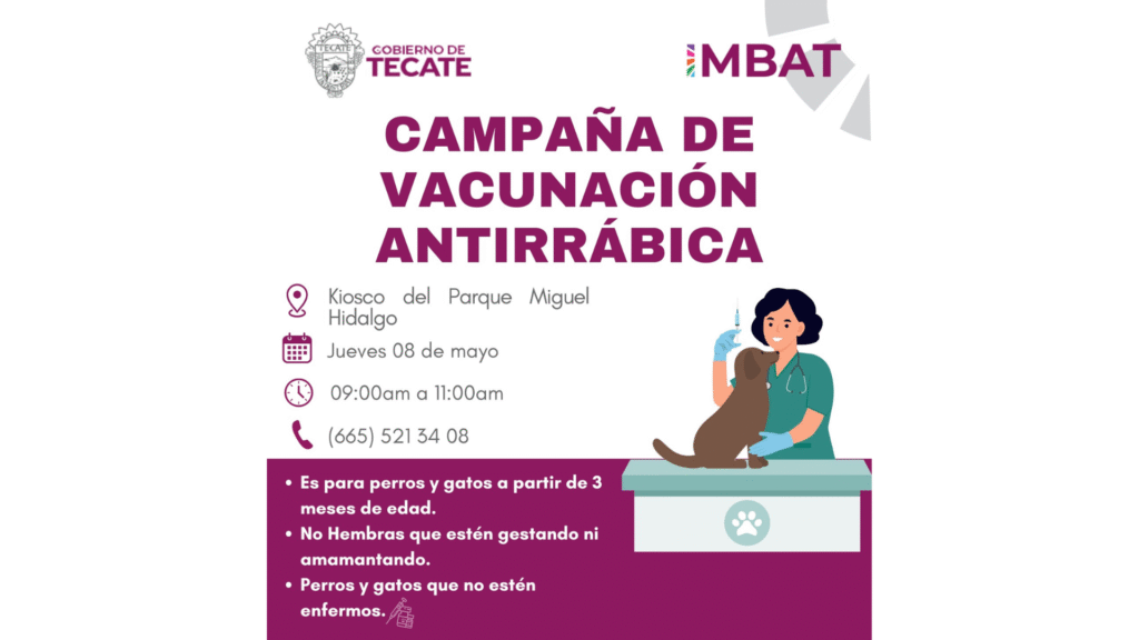 Copia de Sin título