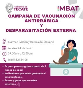 WhatsApp Image 2025-06-23 at 12.18.38