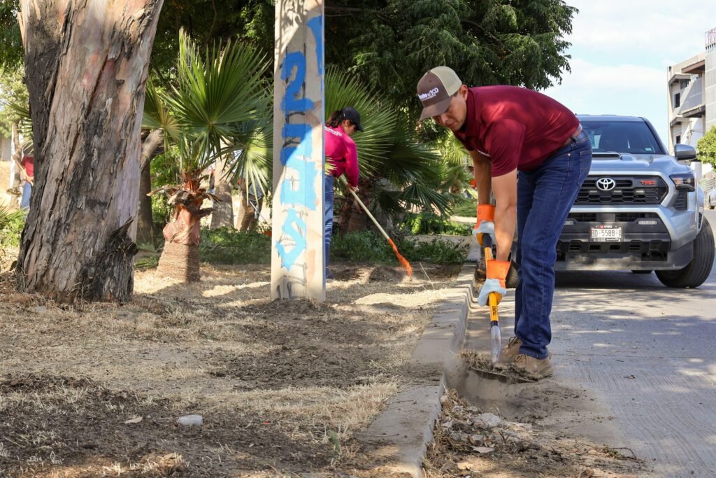 WhatsApp Image 2025-07-01 at 21.20.41