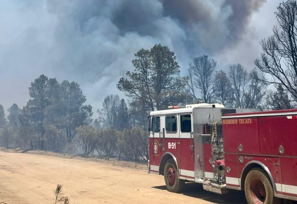 WhatsApp Image 2025-07-02 at 09.05.54