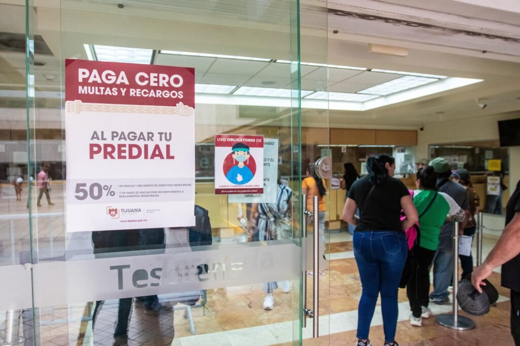 WhatsApp Image 2025-07-16 at 14.24.13