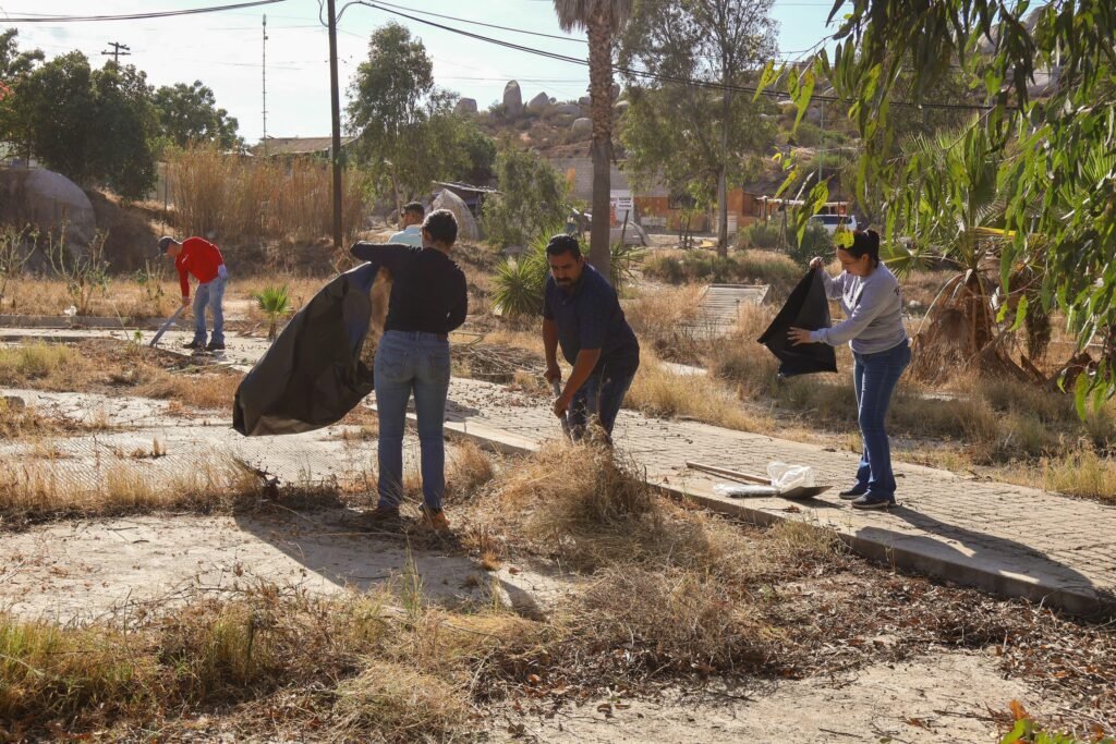 WhatsApp Image 2025-09-02 at 21.12.53 (3)