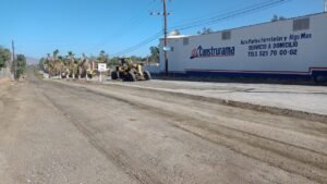 WhatsApp Image 2025-09-03 at 16.05.15