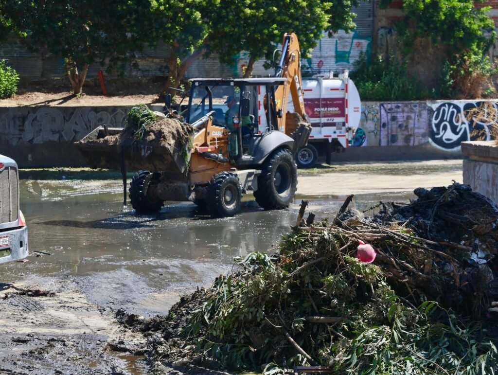 WhatsApp Image 2025-09-05 at 15.23.43