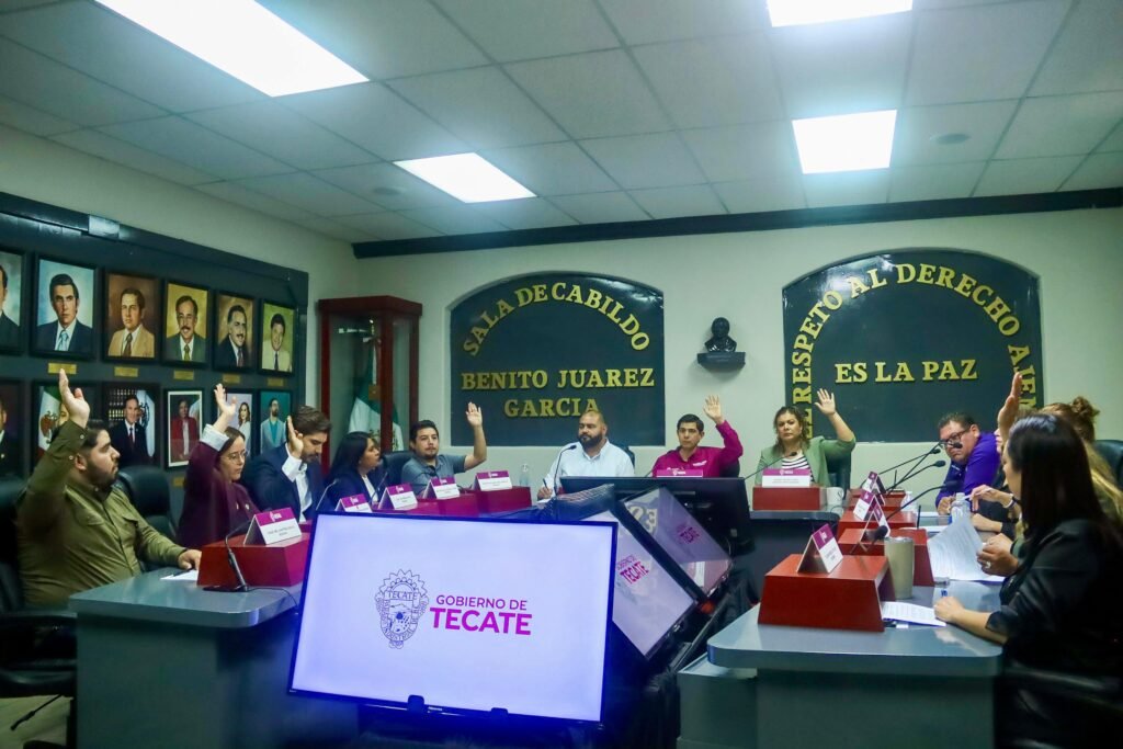 WhatsApp Image 2025-09-19 at 17.27.39