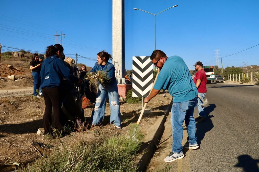 WhatsApp Image 2025-10-01 at 11.27.36 (3)