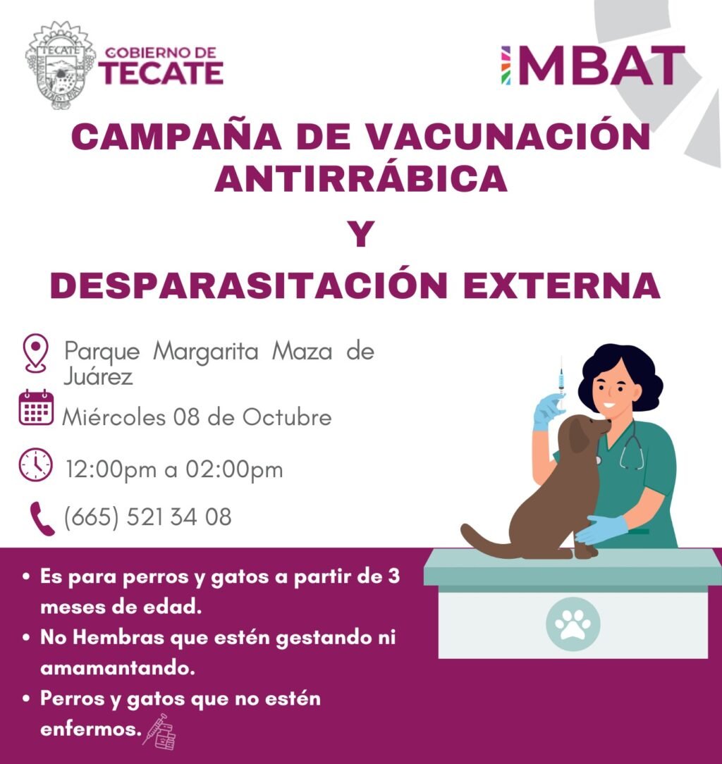 WhatsApp Image 2025-10-03 at 20.16.27