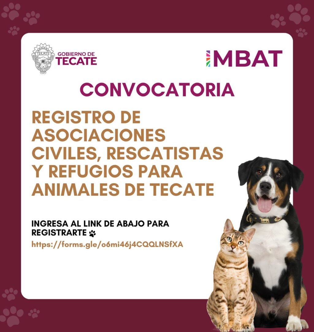 WhatsApp Image 2025-10-06 at 11.49.14