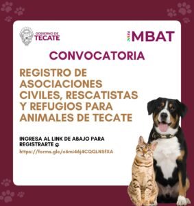 WhatsApp Image 2025-10-06 at 11.49.14