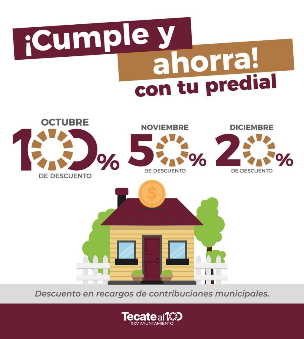 WhatsApp Image 2025-10-06 at 11.49.28