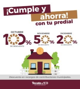 WhatsApp Image 2025-10-06 at 11.49.28