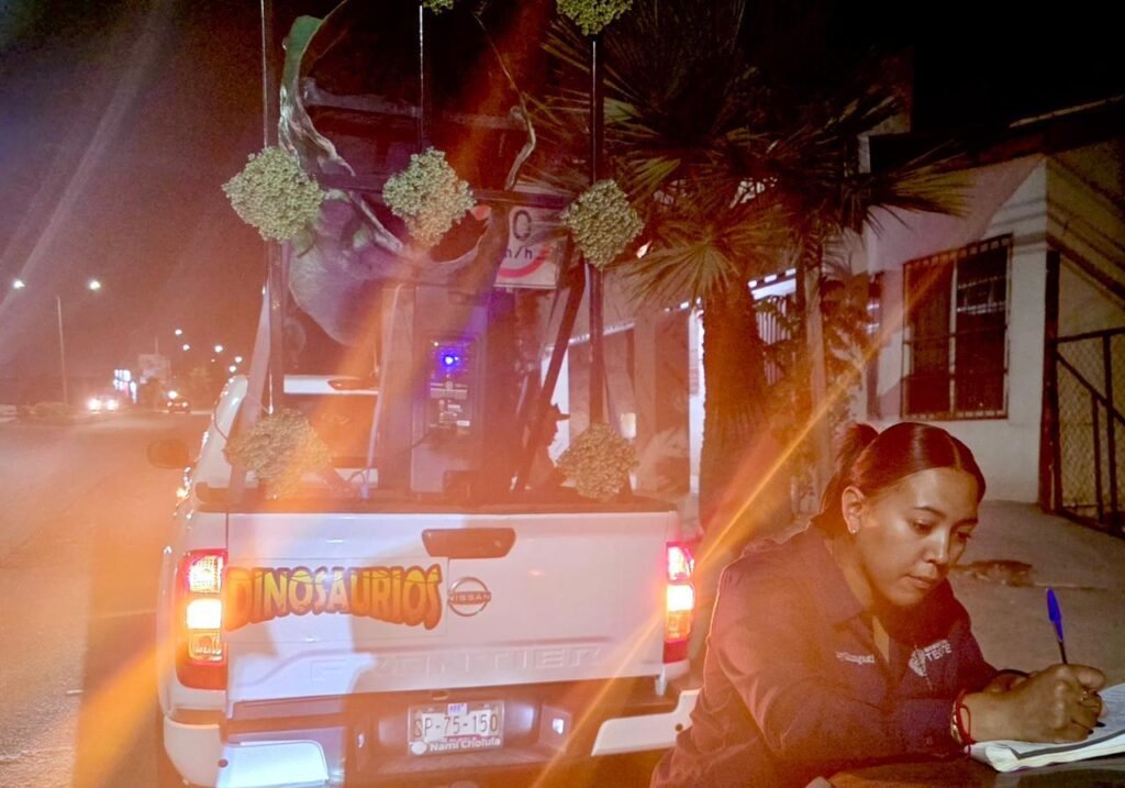 WhatsApp Image 2025-10-09 at 15.20.50 (1)