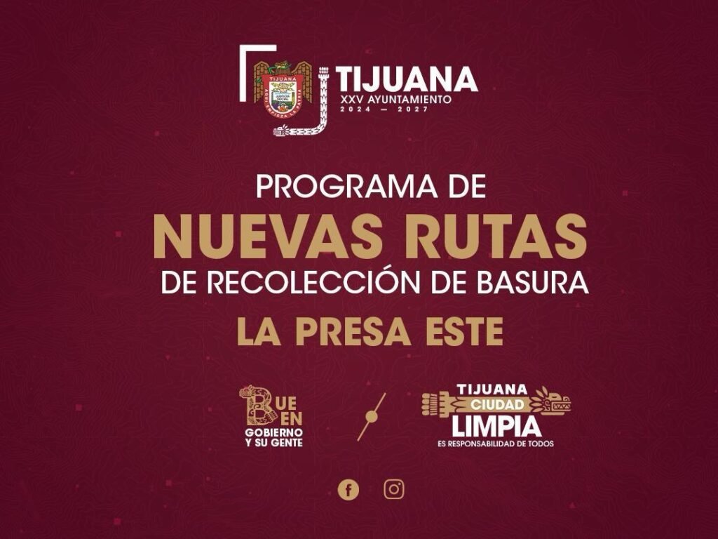 WhatsApp Image 2025-10-10 at 15.29.43