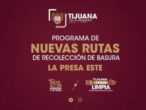 WhatsApp Image 2025-10-10 at 15.29.43