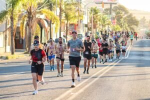 WhatsApp Image 2025-10-12 at 18.26.53