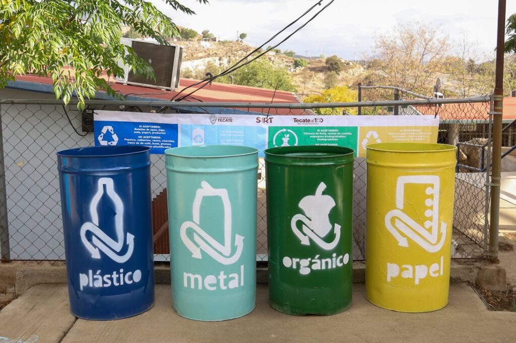 WhatsApp Image 2025-10-13 at 11.43.53 (3)