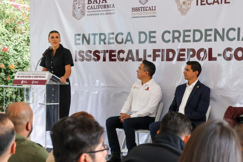 WhatsApp Image 2025-10-14 at 10.44.15