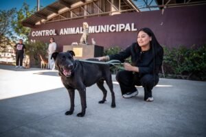 WhatsApp Image 2025-10-17 at 12.00.26 (4)