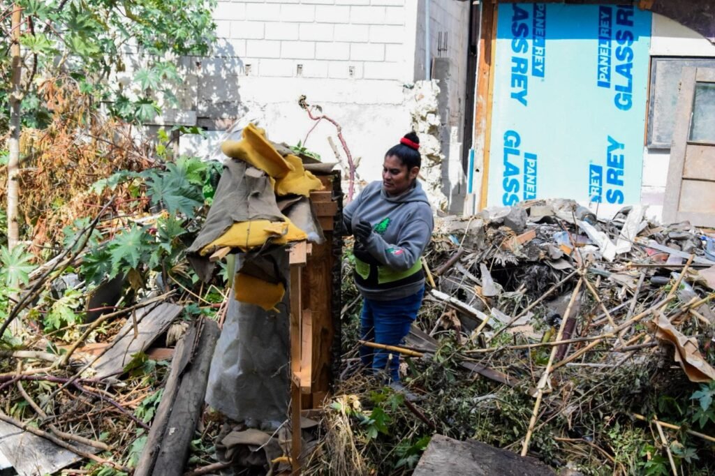 WhatsApp Image 2025-10-17 at 18.14.32 (1)