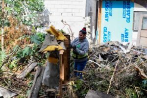 WhatsApp Image 2025-10-17 at 18.14.32 (1)