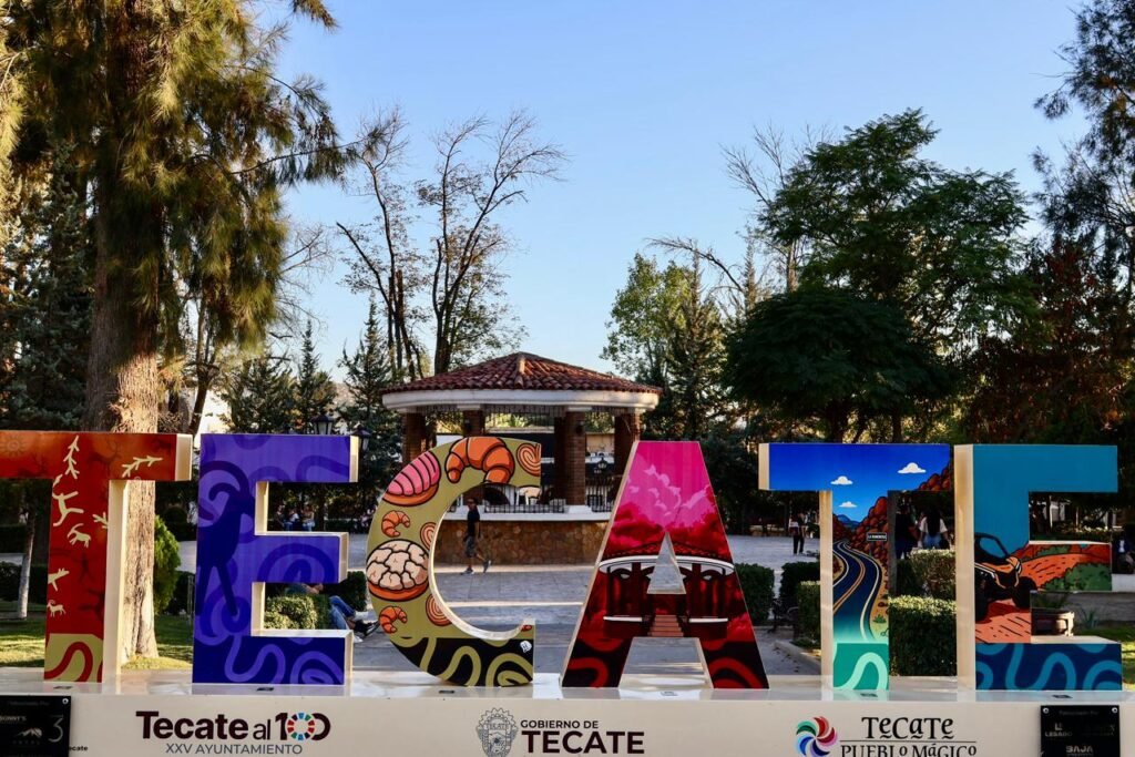 WhatsApp Image 2025-10-19 at 12.53.01