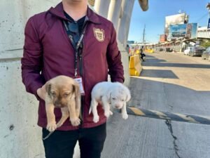 WhatsApp Image 2025-10-20 at 12.02.21