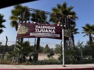 WhatsApp Image 2025-11-05 at 13.03.49