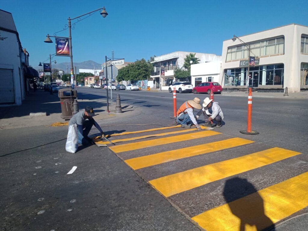 WhatsApp Image 2025-11-10 at 11.39.39 (1)