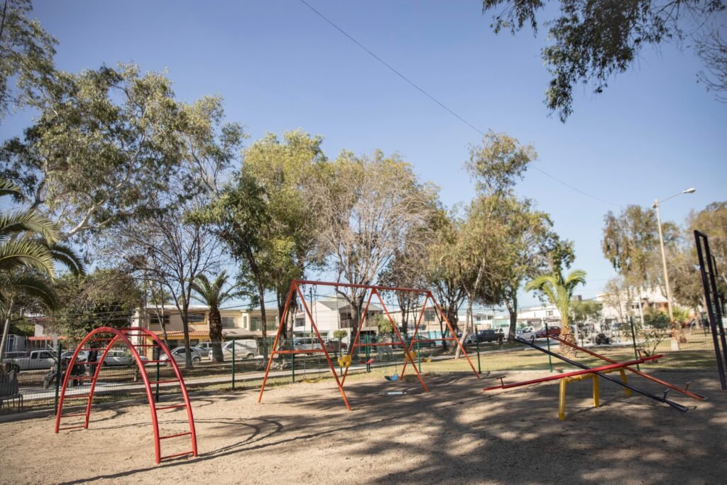 WhatsApp Image 2025-11-19 at 12.26.01 (1)