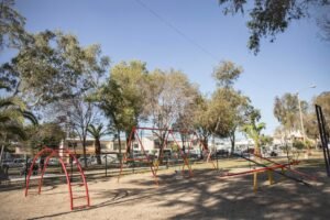 WhatsApp Image 2025-11-19 at 12.26.01 (1)