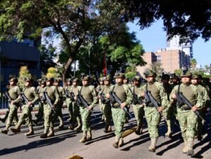 WhatsApp Image 2025-11-20 at 15.16.18 (2)