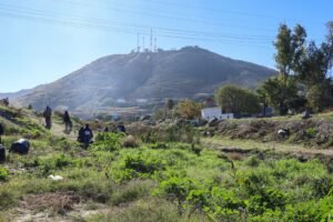 WhatsApp Image 2025-12-06 at 14.52.04