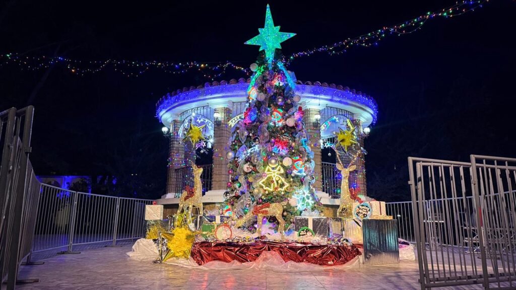 WhatsApp Image 2025-12-13 at 19.45.58 (1)