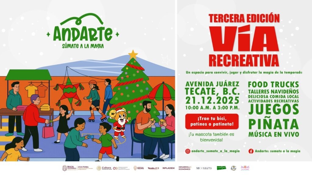 WhatsApp Image 2025-12-18 at 15.14.10 (1)