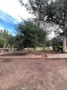 WhatsApp Image 2026-01-12 at 15.02.11