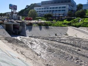 WhatsApp Image 2026-01-13 at 11.52.48