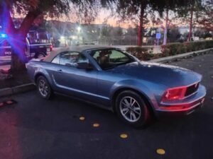 WhatsApp Image 2026-01-14 at 12.33.35 (1)