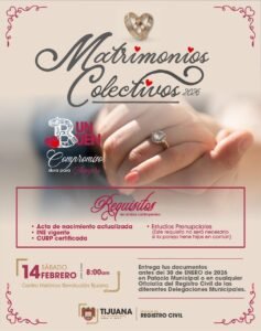 WhatsApp Image 2026-01-15 at 13.53.11