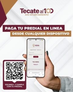 WhatsApp Image 2026-01-15 at 13.53.33