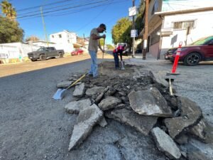 WhatsApp Image 2026-01-16 at 15.42.44