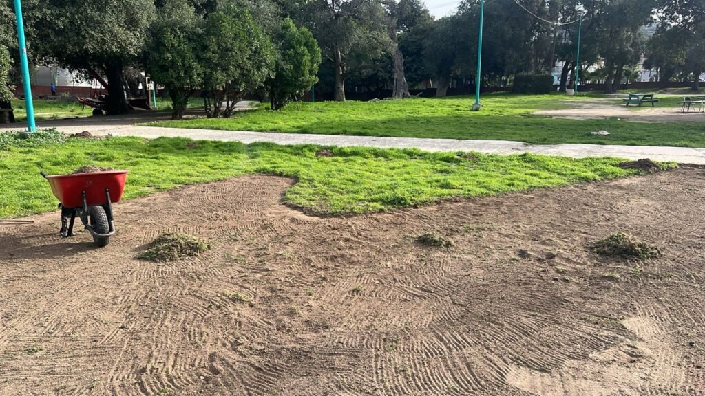 WhatsApp Image 2026-01-22 at 17.27.44 (1)