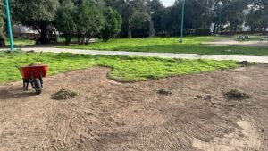 WhatsApp Image 2026-01-22 at 17.27.44 (1)