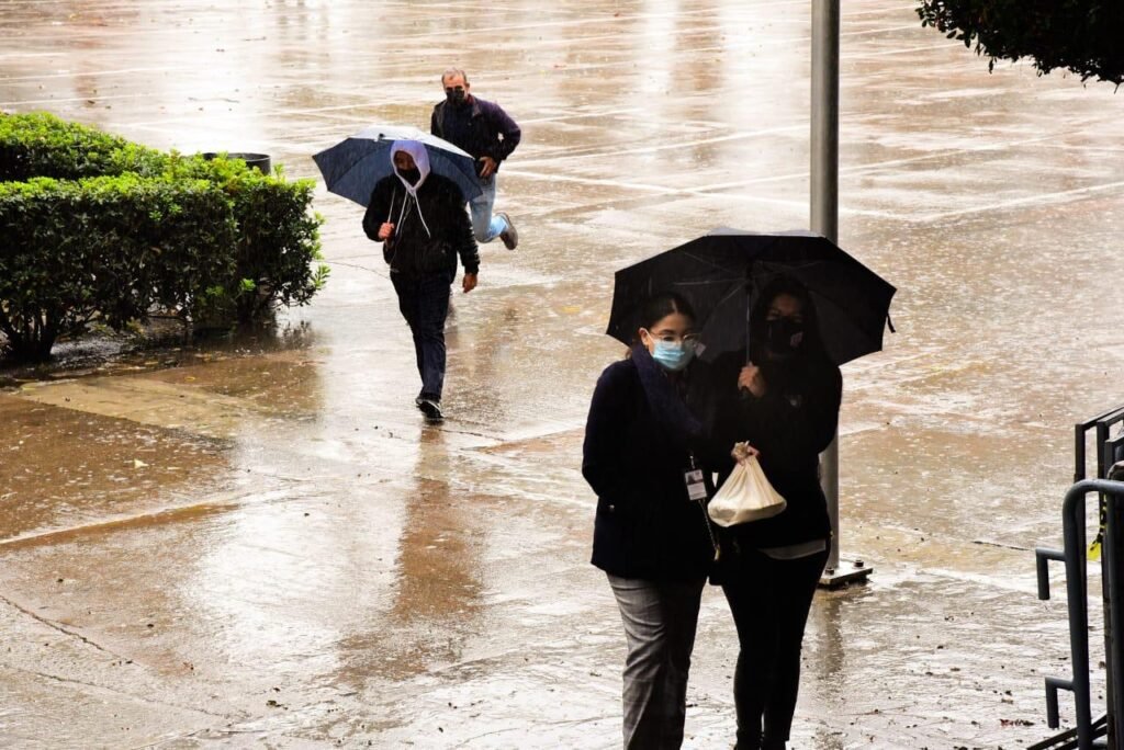 WhatsApp Image 2026-01-22 at 17.28.08