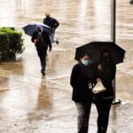 WhatsApp Image 2026-01-22 at 17.28.08