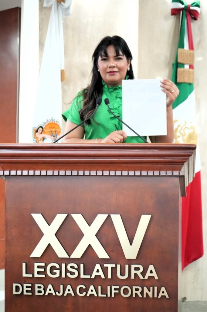 56cb7bad-38ea-45f3-9554-878f1d81745e